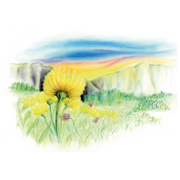 Pastela suha 24boja Design Journey Staedtler 2430 C24 blister - Slika 4
