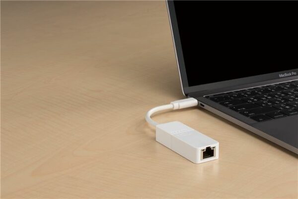 D-Link USB-C to Gigabit Ethernet Adapter DUB-E130