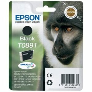 Tinta Epson T0891, black