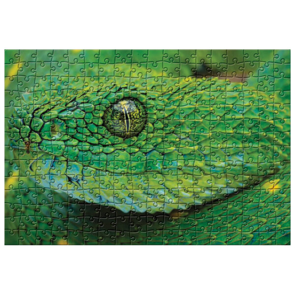 Puzzle 250 kom Colorful nature 4 Snake Interdruk - Slika 3