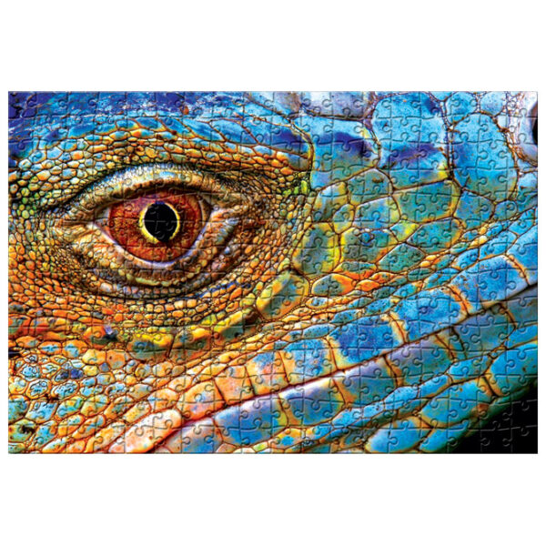 Puzzle 250 kom Colorful nature 5 Lizard Interdruk - Slika 3