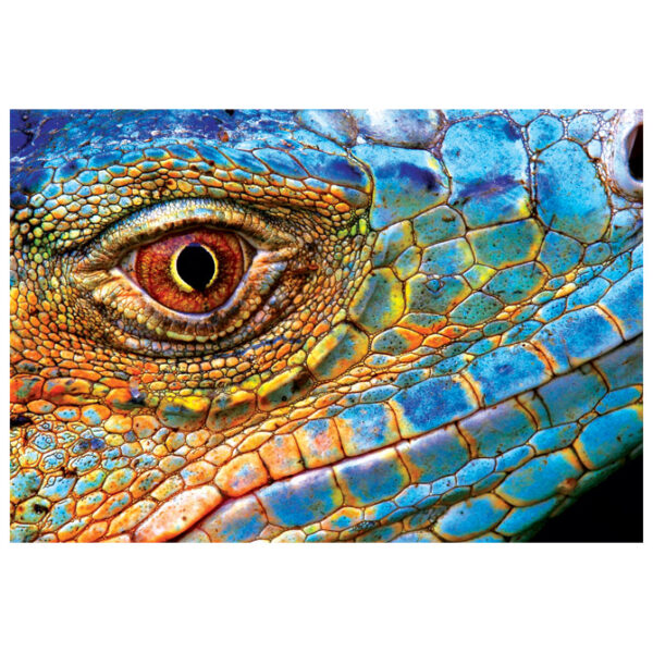 Puzzle 250 kom Colorful nature 5 Lizard Interdruk - Slika 4