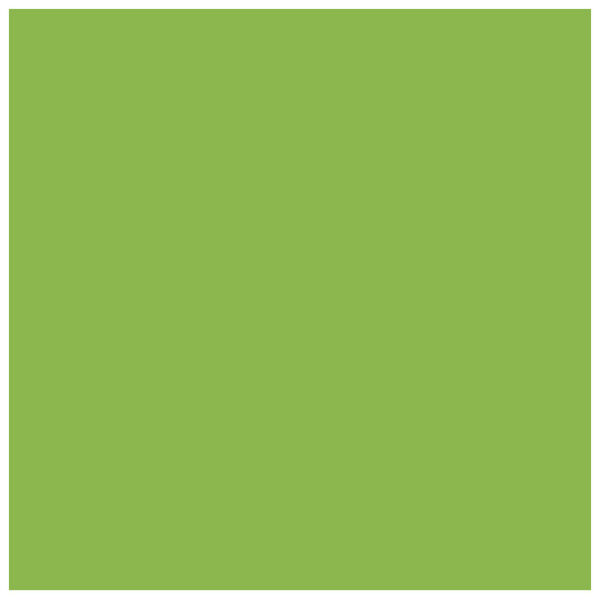 Papir u boji B1 200g Bristol Colore pk10 Connect 230 pistacio