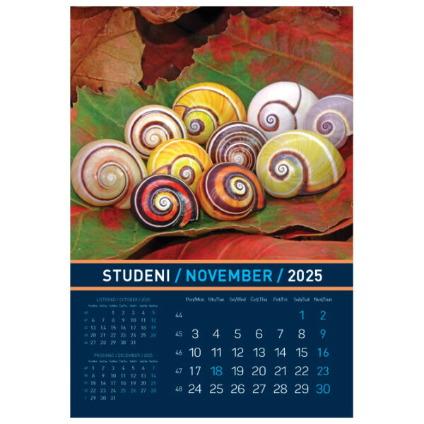 Kalendar "Igre prirode 2025" 13 listova, spirala - Slika 4