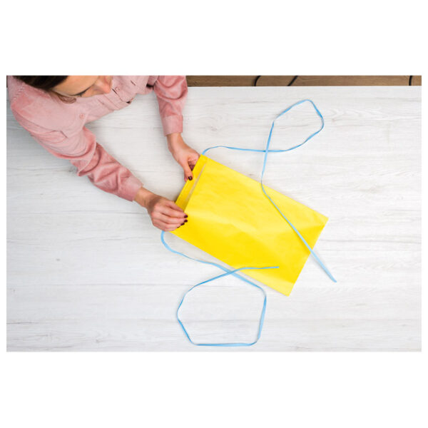 Vrećice-kuverte ukrasne s vrpcom 26x40 cm REX PACK pk10 Rex-Saul Sadoch REXPK26F-514D!! - Slika 2