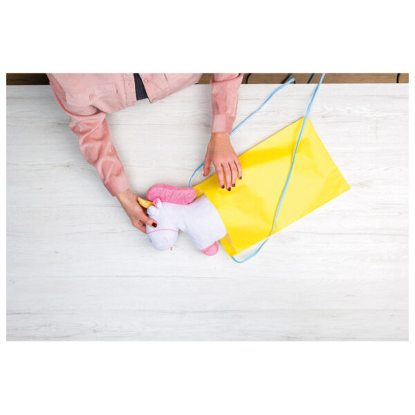 Vrećice-kuverte ukrasne s vrpcom 26x40 cm REX PACK pk10 Rex-Saul Sadoch REXPK26F-514D!! - Slika 3