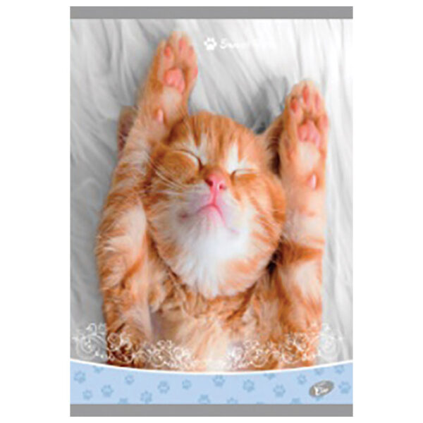 Teka meki uvez A4 crte 40+2L 80g Sweet pets Elisa sortirani motivi!! - Slika 3