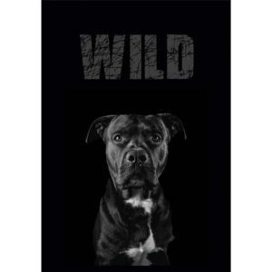 Bilježnica A4 52 l diktando animal wild