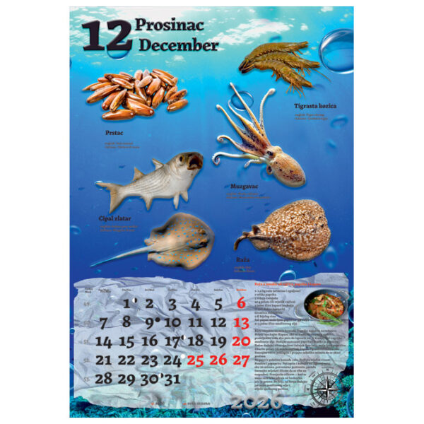 Kalendar "Ribarnica 2026" 13 listova, spirala - Slika 5
