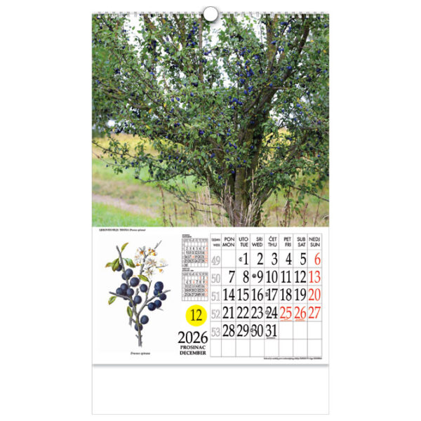 Kalendar "Ljekovito bilje" s rotacijskim krugom, spirala, Nikoprom - Slika 4