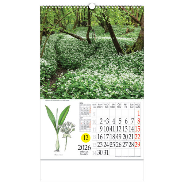 Kalendar "Ljekovito bilje" s rotacijskim krugom, spirala, Nikoprom - Slika 5