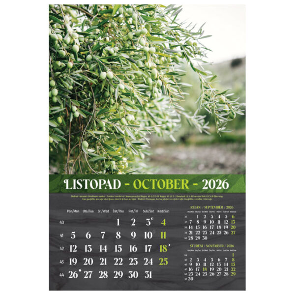 Kalendar "Masline 2026" 13 listova, spirala - Slika 3