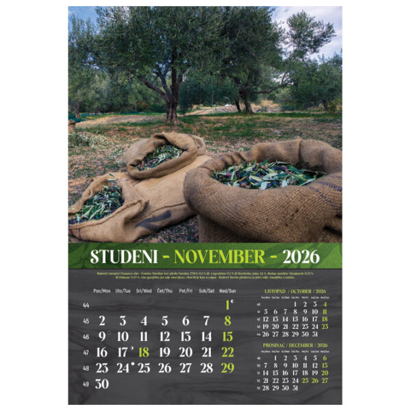 Kalendar "Masline 2026" 13 listova, spirala - Slika 4