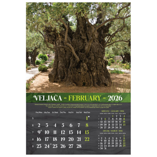 Kalendar "Masline 2026" 13 listova, spirala - Slika 6