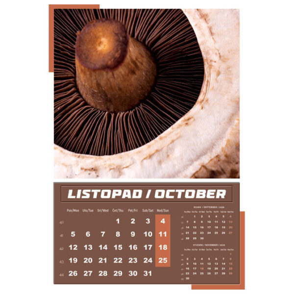 Kalendar "Igre prirode 2026" 13 listova, spirala - Slika 3