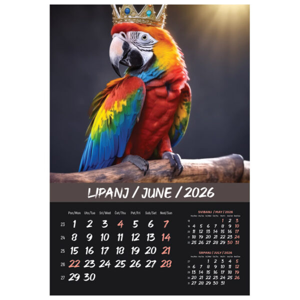 Kalendar "Kućni ljubimci 2026" 13 listova, spirala - Slika 10