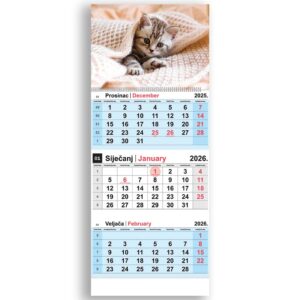 Kalendar zidni NN trodijelni mačka 2026.