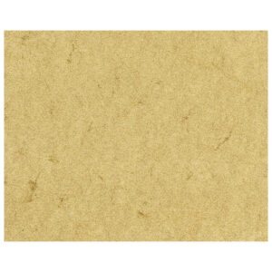 Papir ILK Elefant A4 110g pk100 Heyda 20-48310 11 šamoa!!