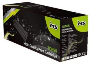 Toner RICOH FR1060 MS