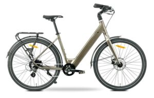 MS ENERGY eBike Zorya bronze