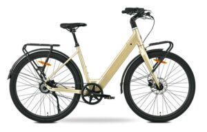 MS ENERGY eBike Zorya Plus Silver Gold