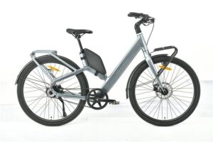 MS ENERGY eBike Veles Plus special gold