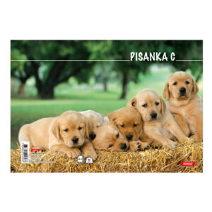 Bilježnica obrazac 2 pisanka C za 2. I 3. razred Animal