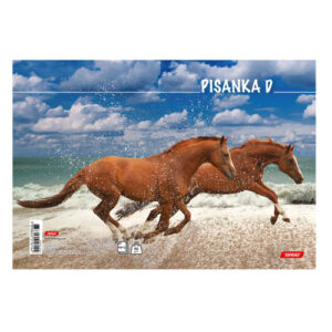 Bilježnica obrazac 5 pisanka D za 3. i 4. razred Animal