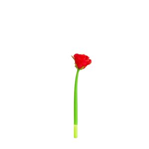 Olovka gel silikonska red roses 29695