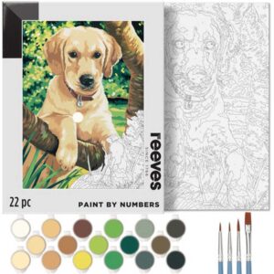 Bojanka Labrador 22/1