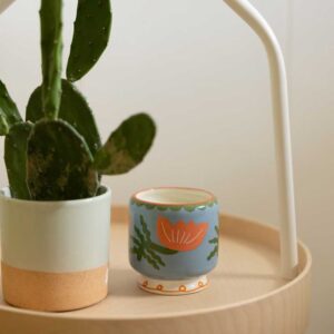 Svijeća mirisna, Cactus Flower